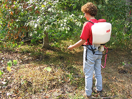 spray application with a backpack sparyer is fast and effective