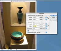 use the resize box to set screen resolution, file size, and repro dimensions.