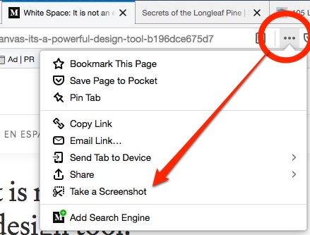 full page screen grabs are easy in Firefox