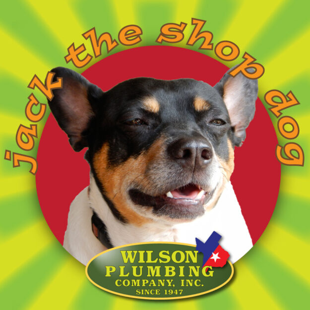 iconic logo Jack the Shop Dog is the basis for local SEO advantage